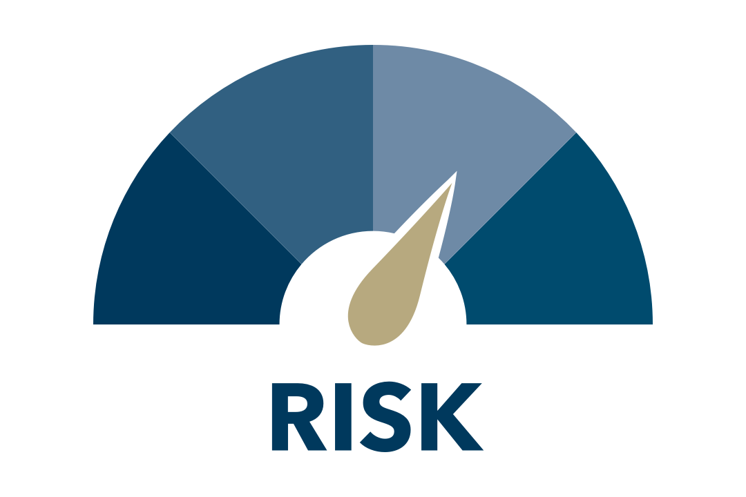 Risk meter icon