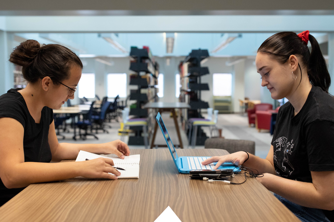 Two students studying in the library